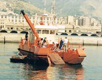 Depolluting vessel with disc-oil skimmer and conveyor